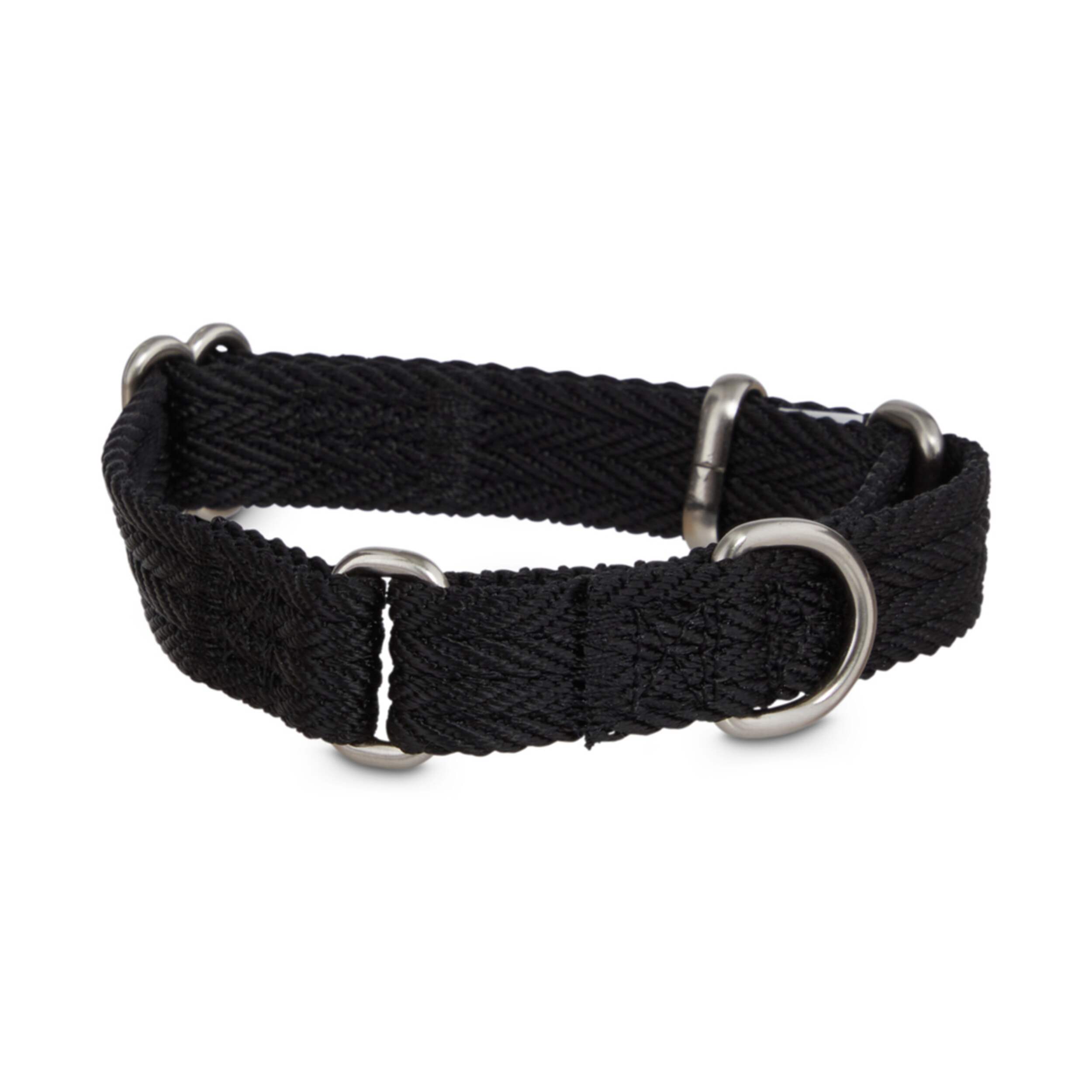 Petco Nylon Martingale Dog Collar, Adjustable, Assorted Sizes, Black