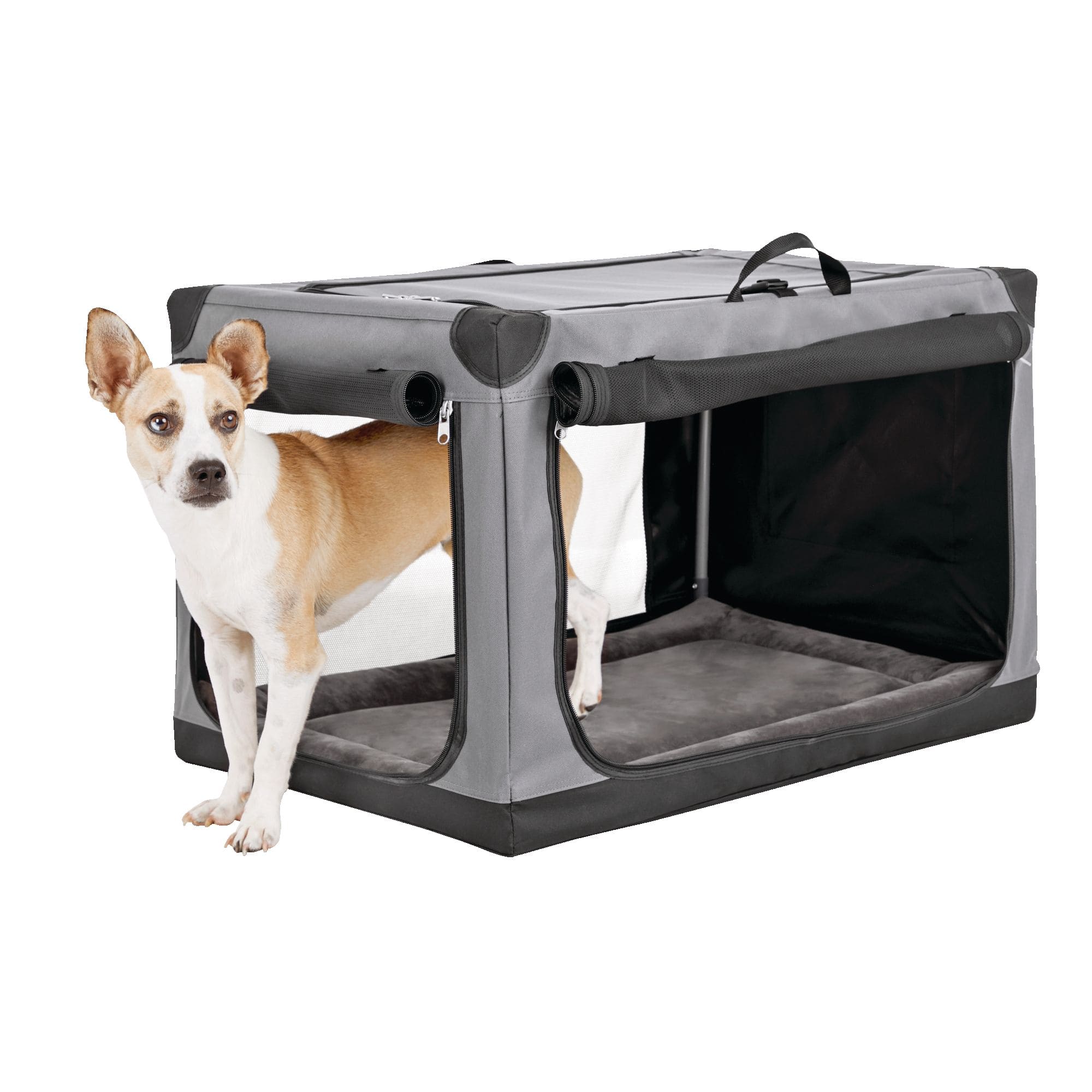 Dog crate sizes petco hotsell