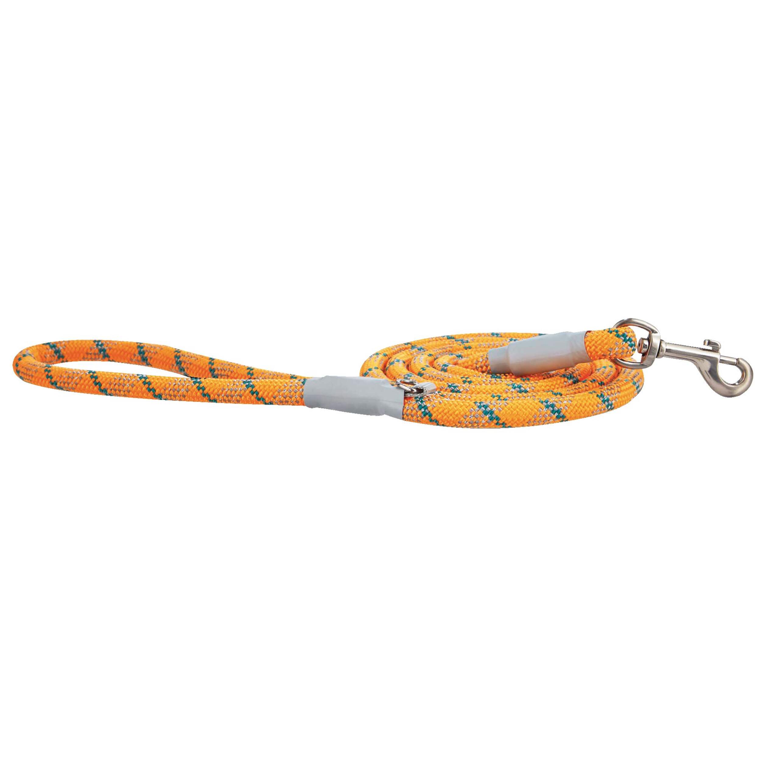 Laisse en corde tressée réfléchissante Petco, orange, 6 pi Side_Right