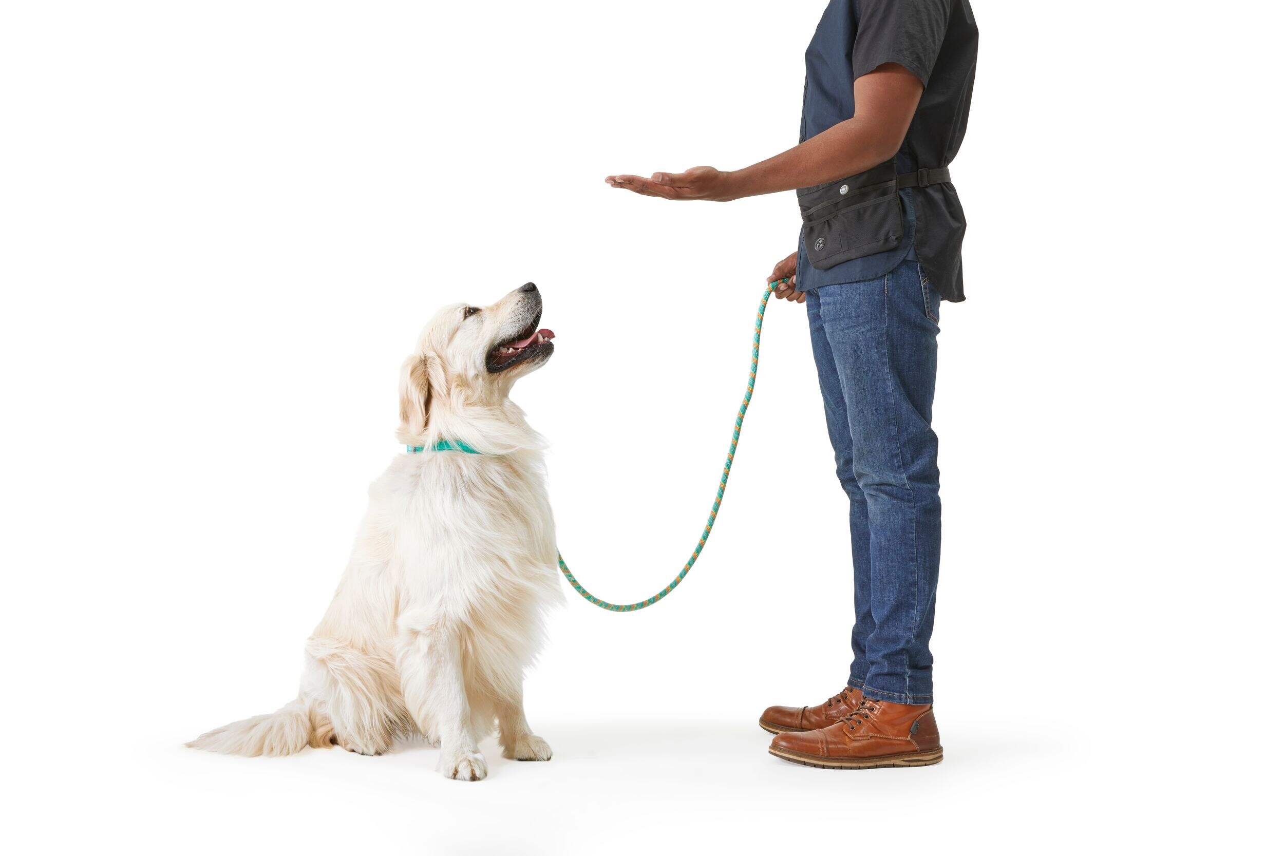 Petco Turquoise Buff Dog Rope Leash, 6ft Canadian Tire