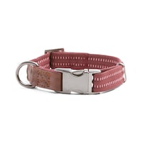 Reddy Burgundy Webbed Dog Collar
