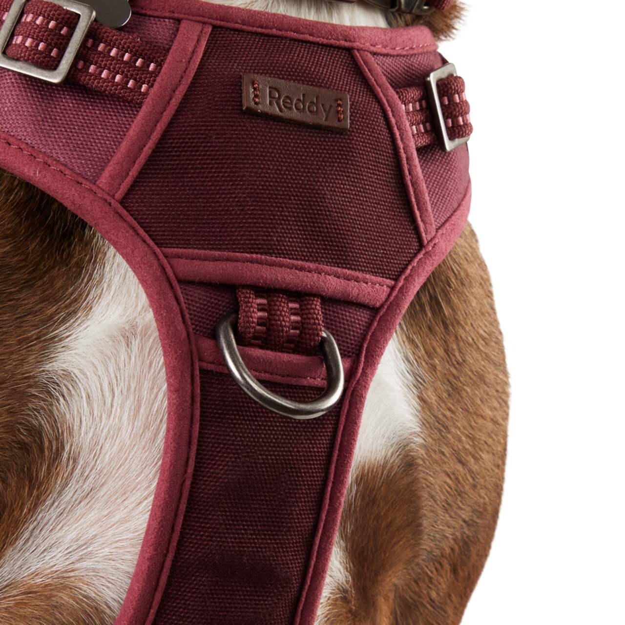Reddy Burgundy Canvas Dog Harness, Medium