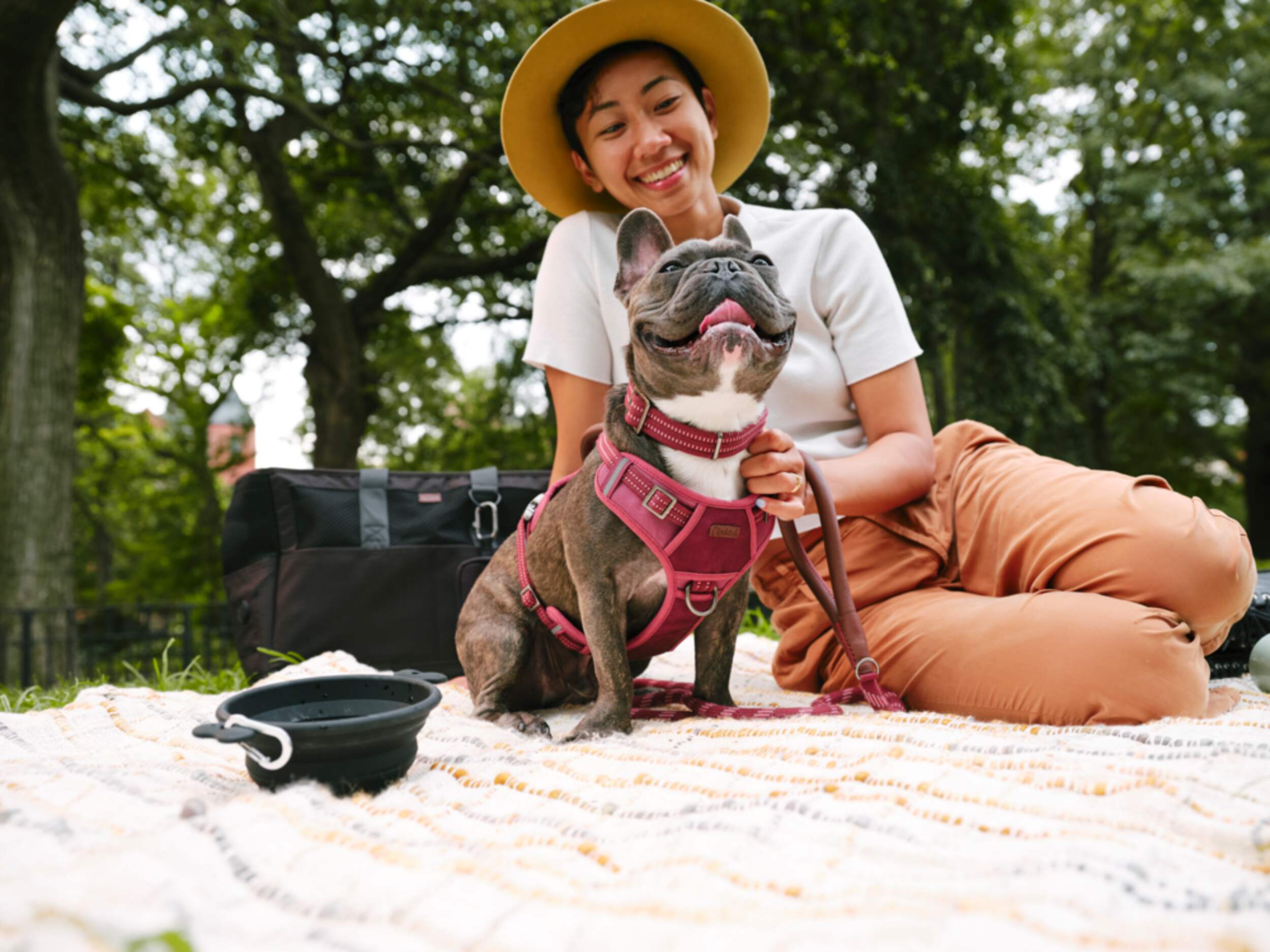 Reddy Burgundy Canvas Dog Harness Canadian Tire