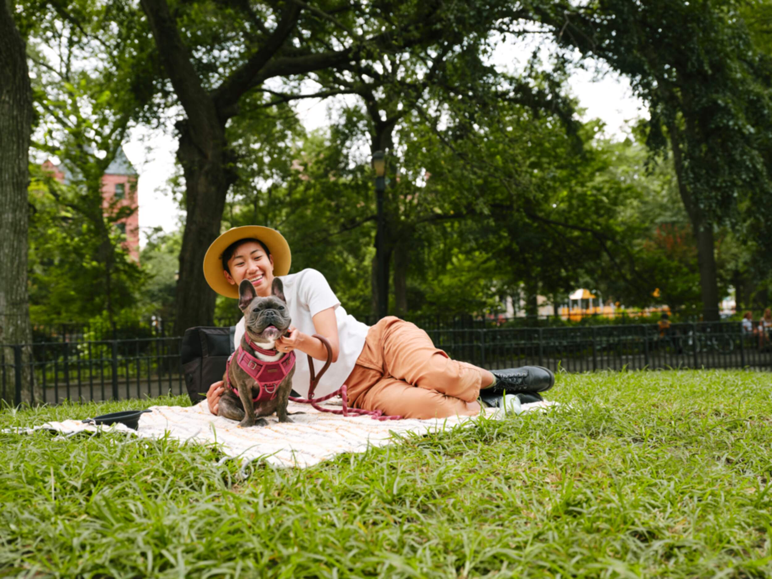 Reddy Burgundy Canvas Dog Harness Canadian Tire