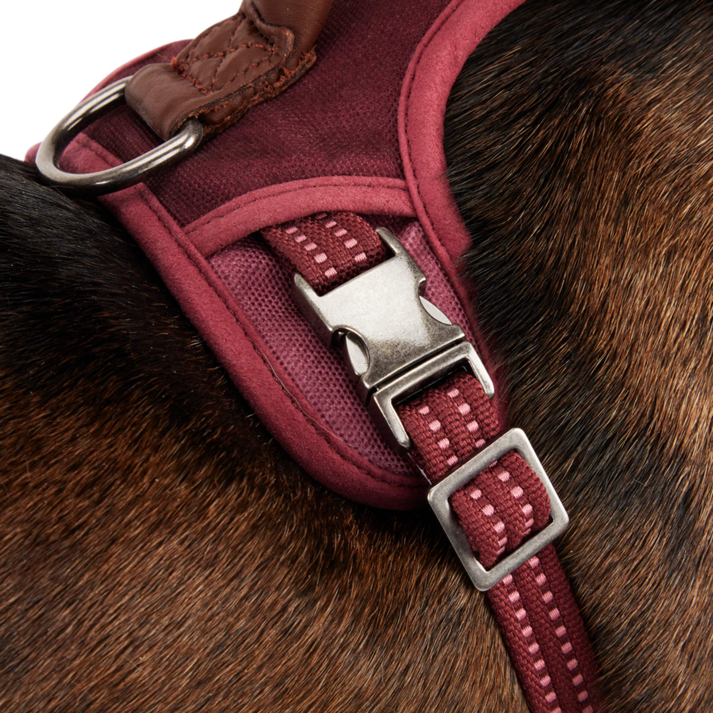 Reddy Burgundy Canvas Dog Harness Canadian Tire