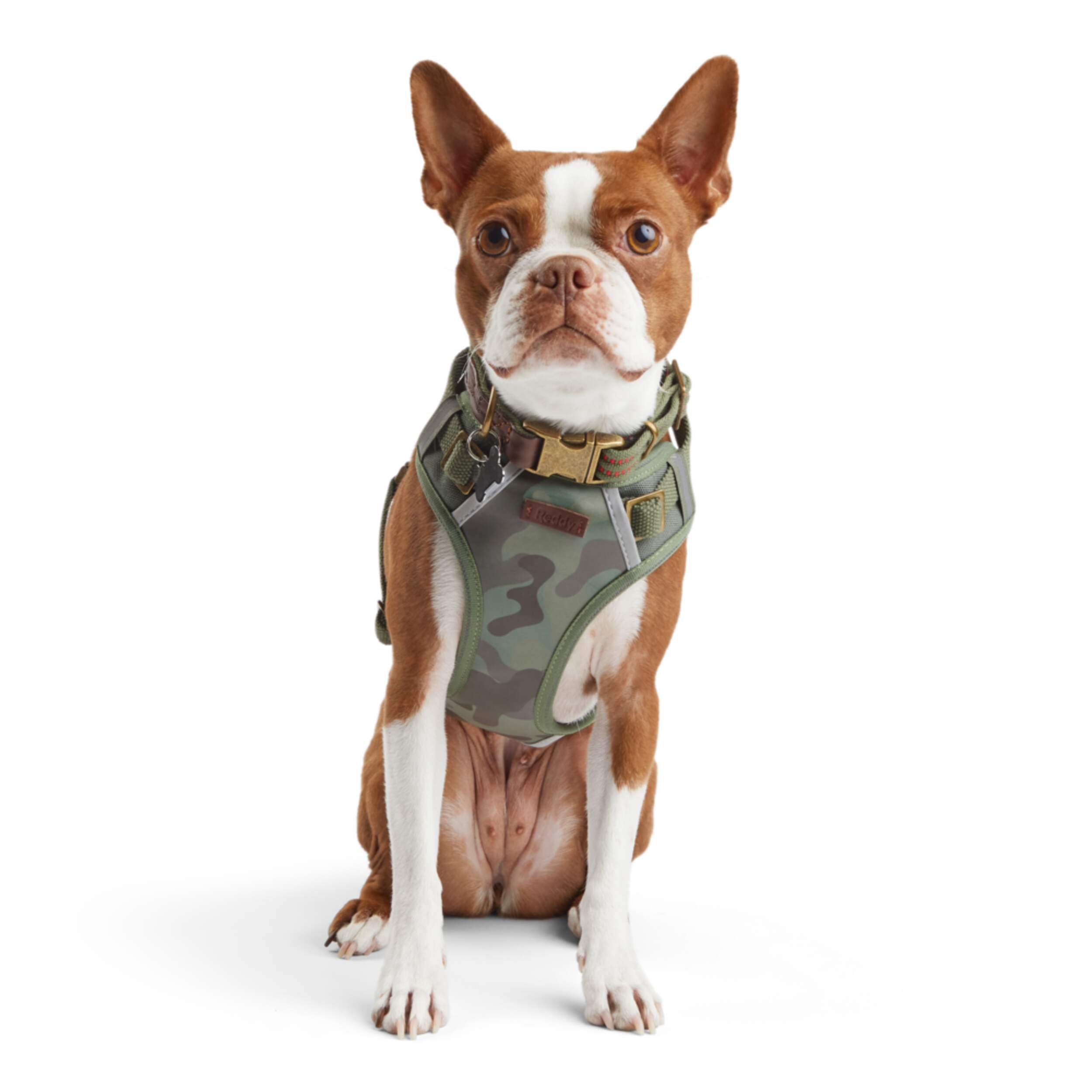 PETCO Reddy Reflective Camo Dog Harness Canadian Tire