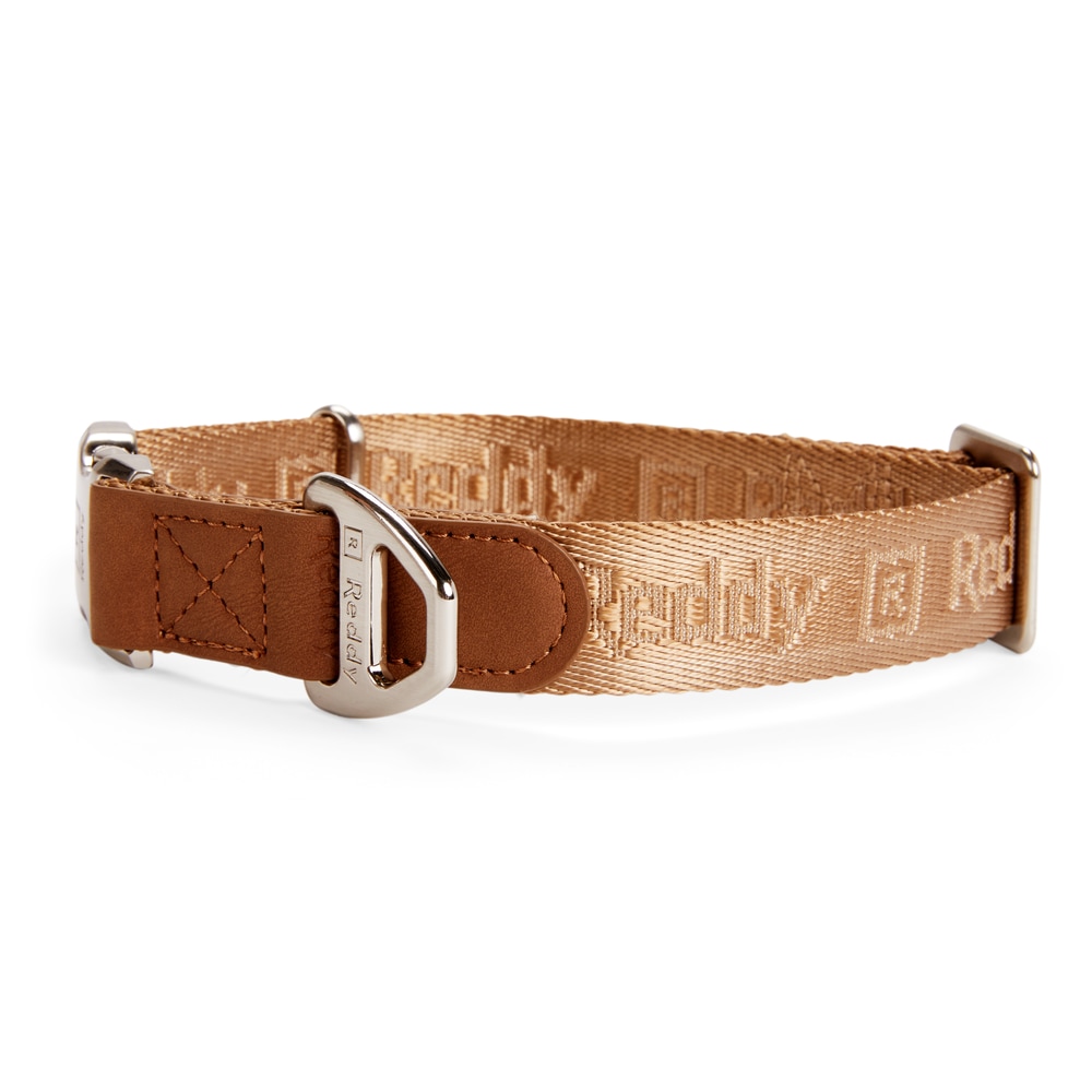 PETCO Reddy Tan Jacquard Dog Collar Canadian Tire