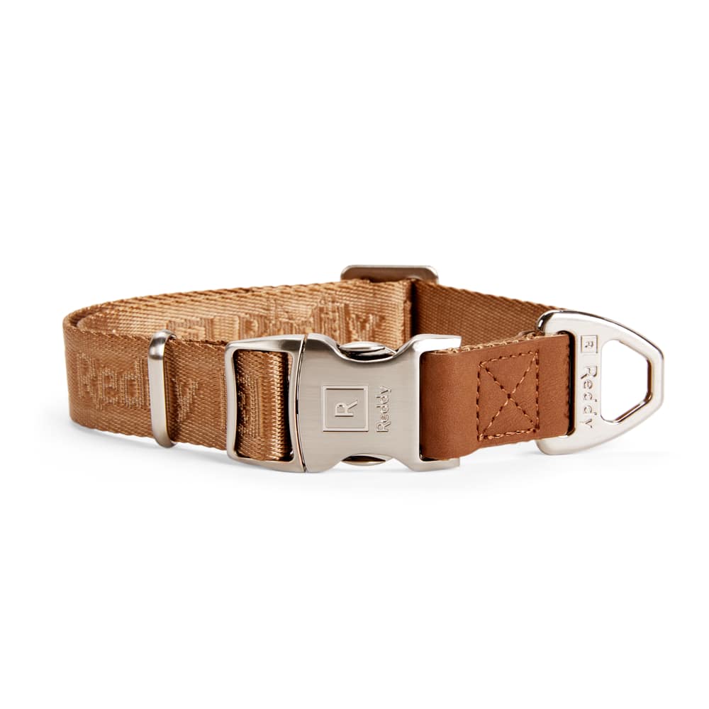 PETCO Reddy Tan Jacquard Dog Collar | Canadian Tire