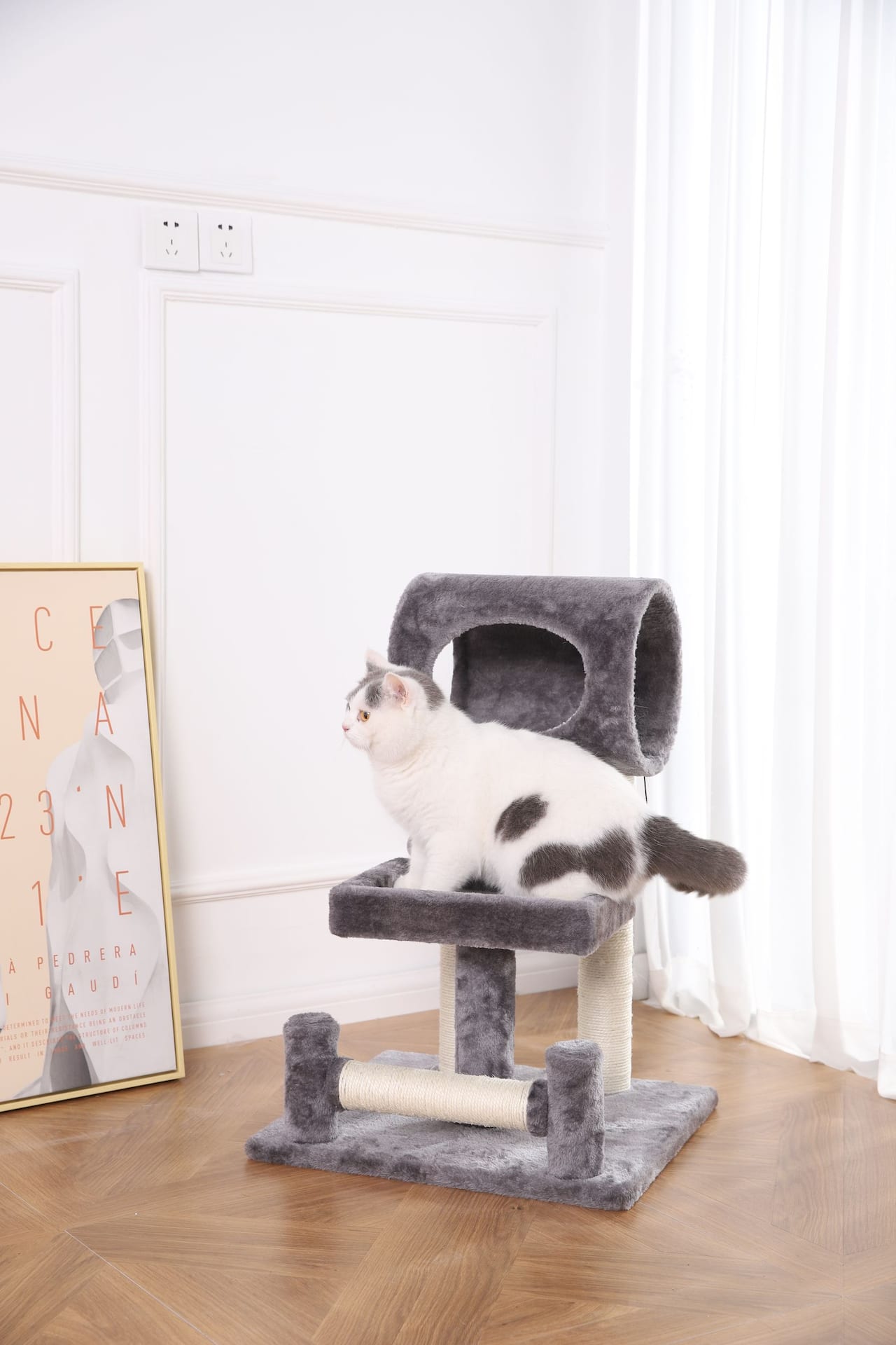 Cat tree canadian tire hotsell