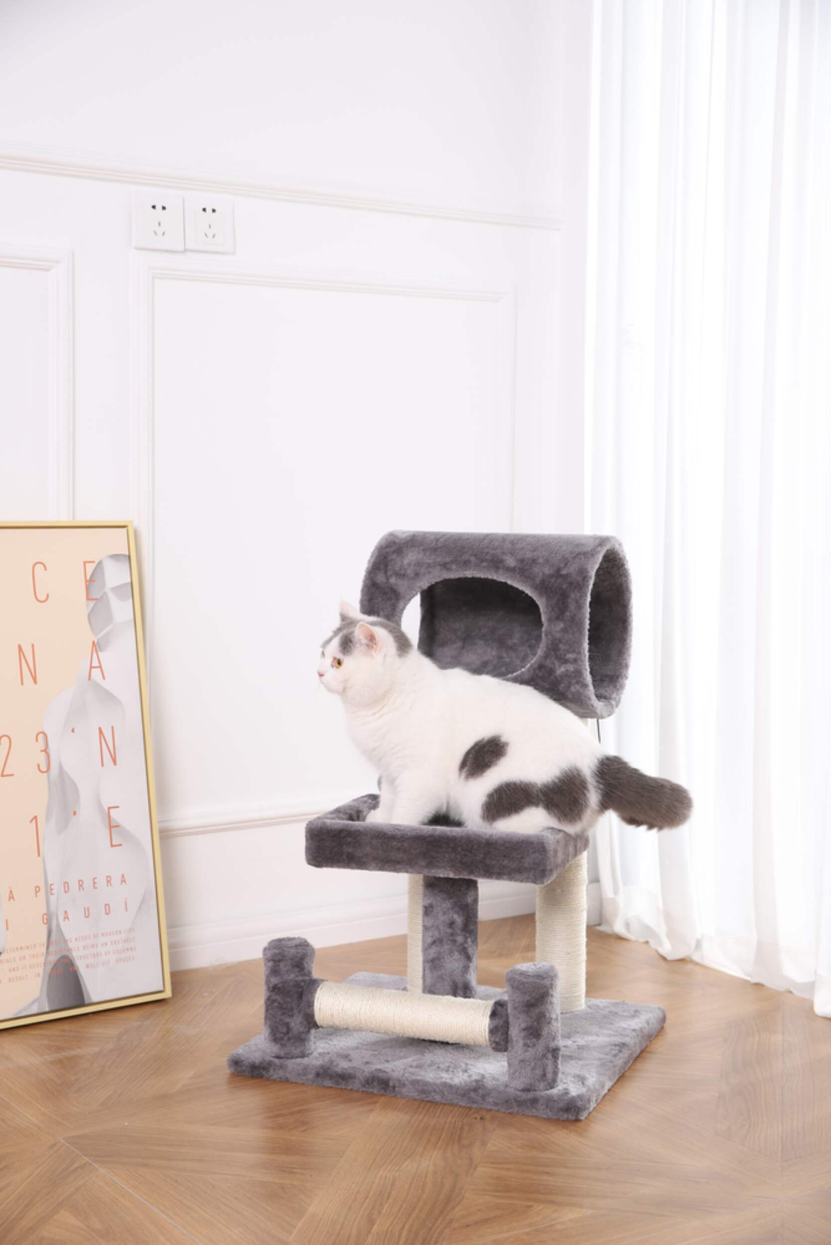 Cat Craft Medium Cat Tree Combo Condo Bed Scratcher Canadian Tire