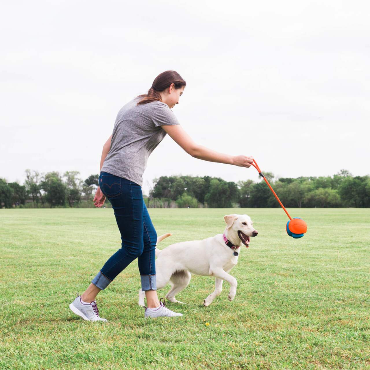 Chuckit rope on sale fetch