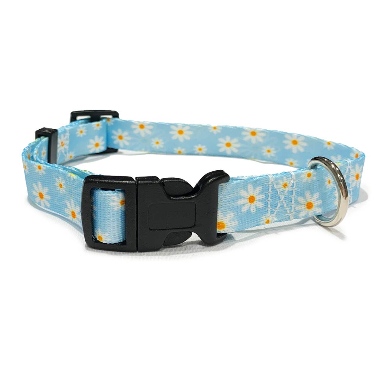 Daisy dog hot sale accessories