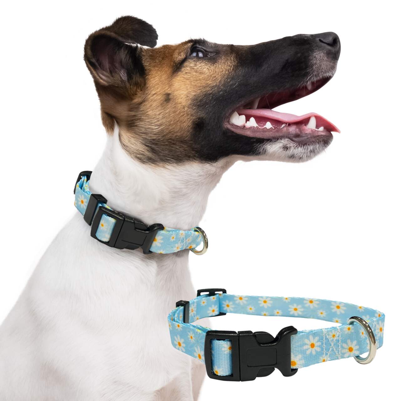 Perri s Cat Dog Collar Daisy Canadian Tire