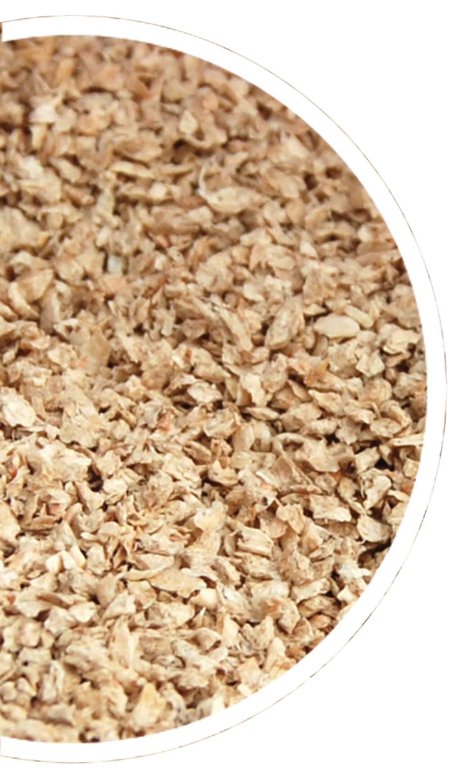 Okocat Featherweight Clumping Cat Litter, 4.85 kg Canadian Tire