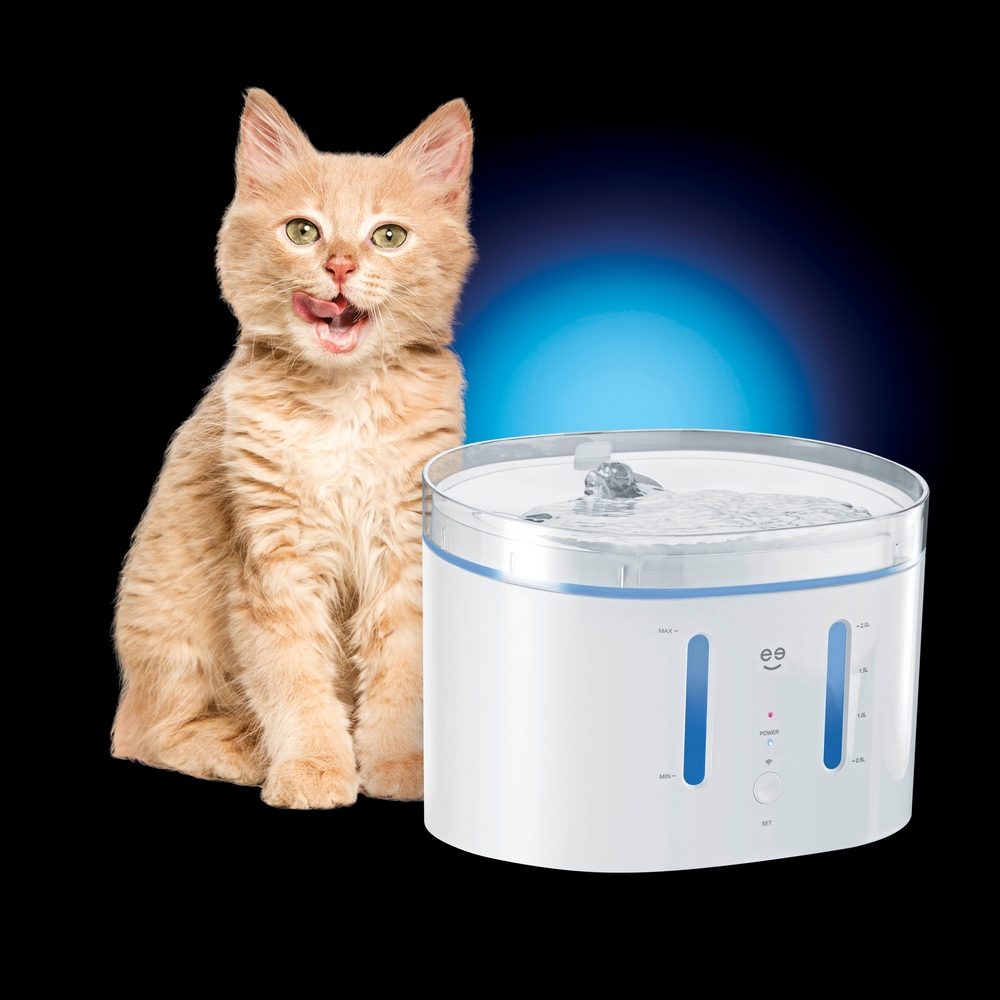 Geeni Smart Pet Water Fountain Canadian Tire
