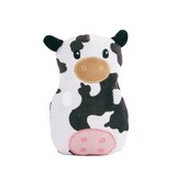 Petco Party Animal Plush Dog Toy Front_Flat