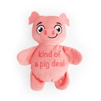 Petco Plush Pig Dog Toy, Small Front_Flat