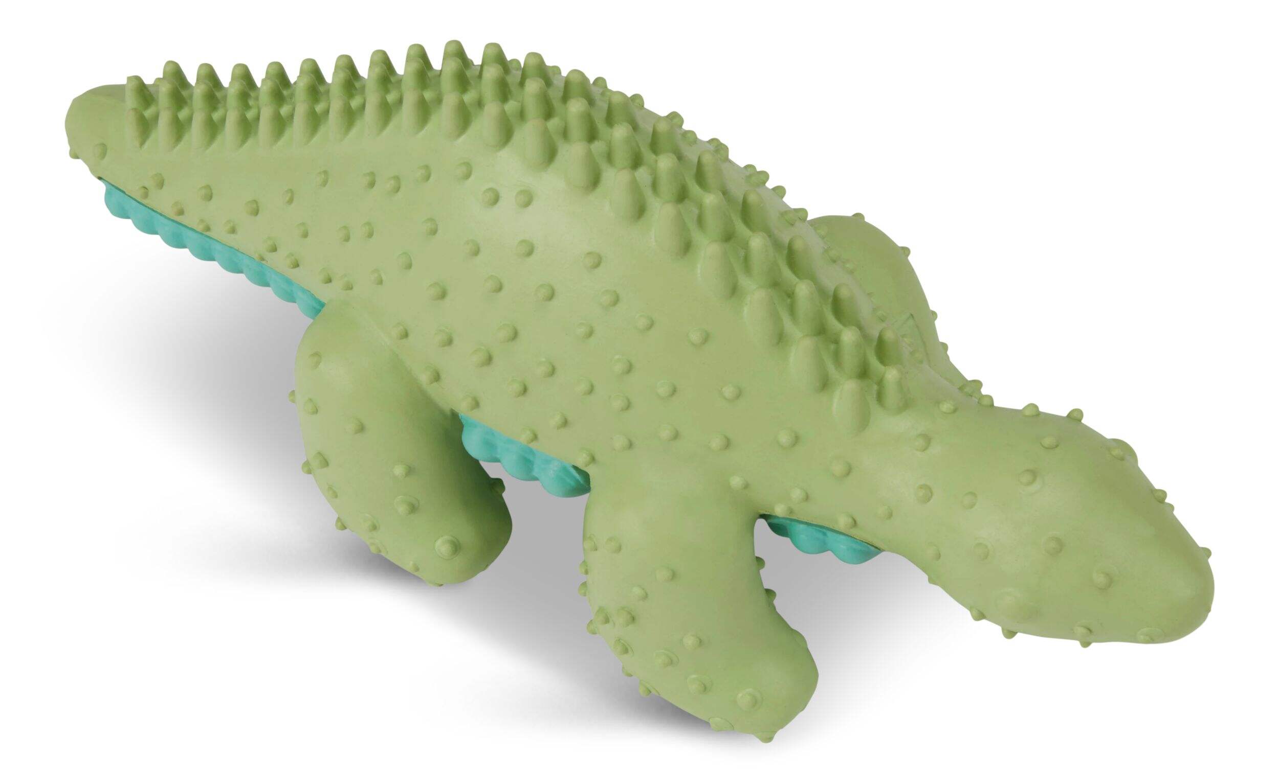 Petco Green Stego Dental Dog Chew Toy, Extra Small Front_Three_Fourths_Angled_Right