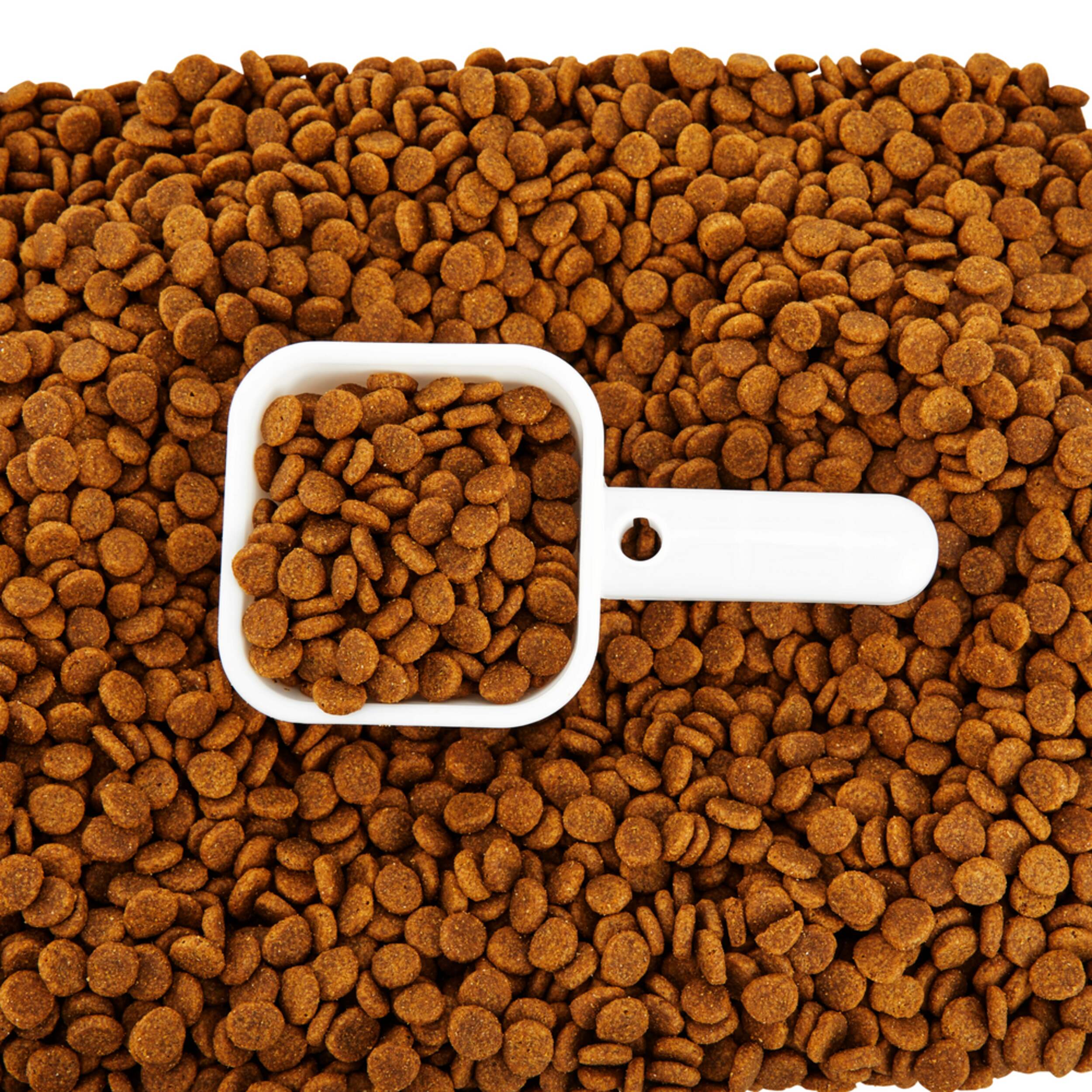 Petco Airtight Food Storage Container Canadian Tire