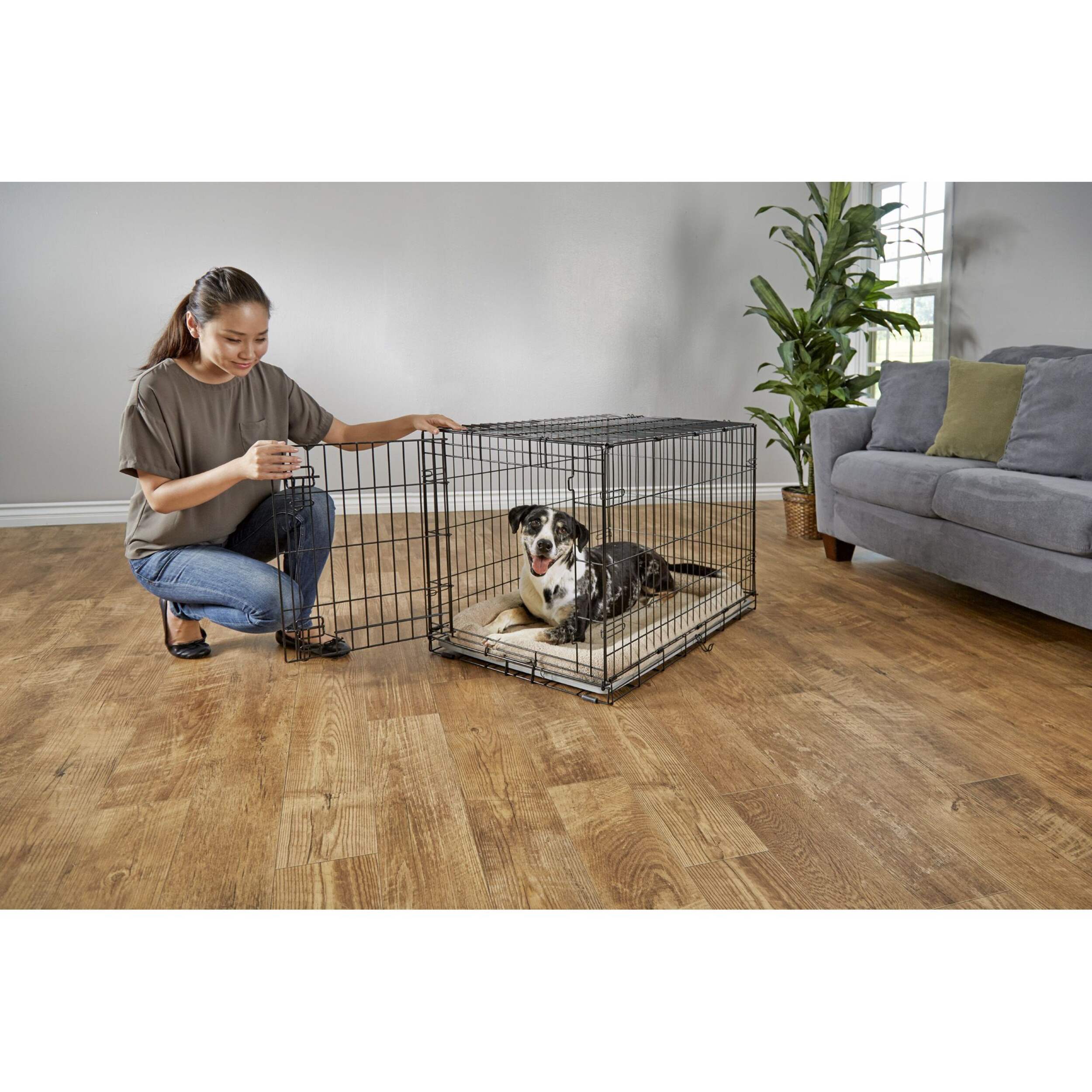 Petco 1Door Large Folding Dog Crate, 36in L x 23in W x 25in H