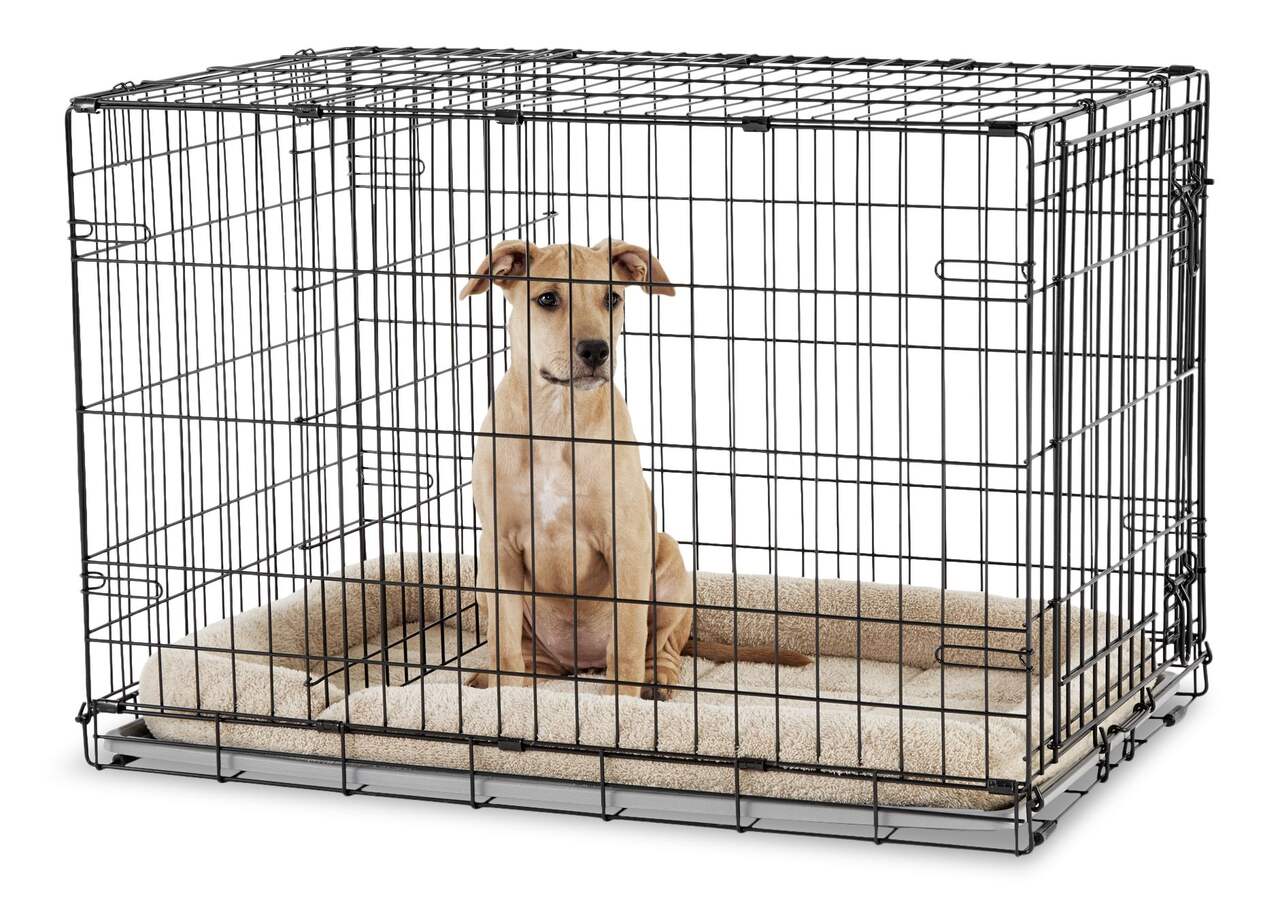 Cage D'Intérieur Pliante / INT-001 - Cage chien, Cage chien xxl, Cage de  transport chien, Cage transport chien
