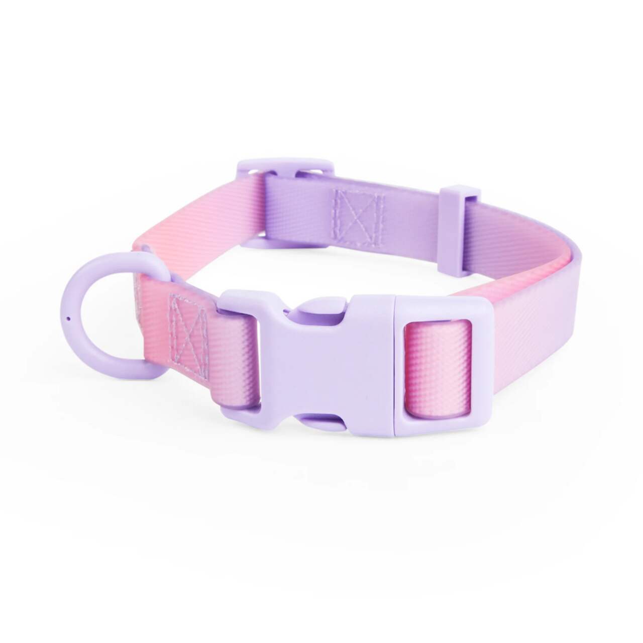 Canadian tire dog collars top