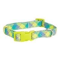 Petco Reflective Yellow/Blue Dog Collar Front_Elevated
