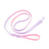 Petco Purple Wipeable Dog Leash, 6-ft Overhead_Flat