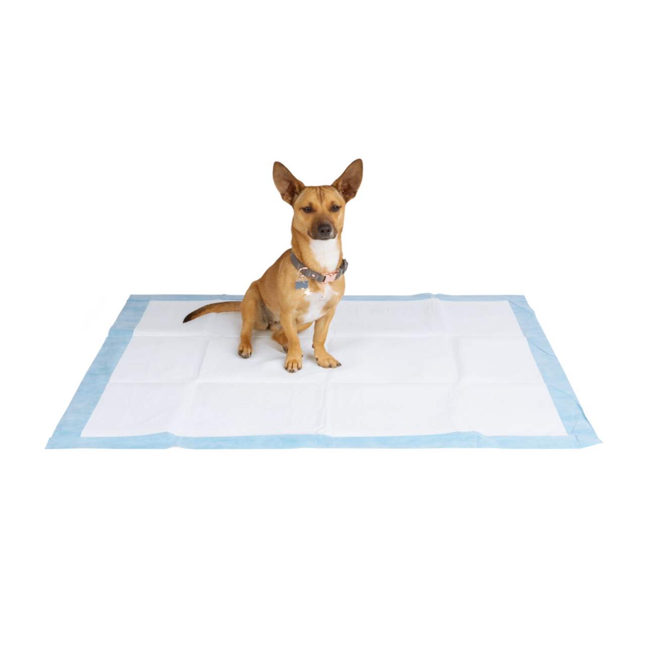Xxl top dog pads