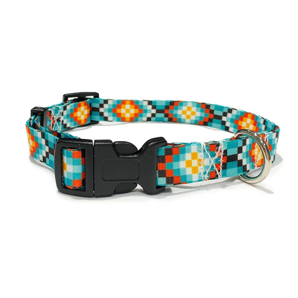 Orange and 2025 blue dog collar