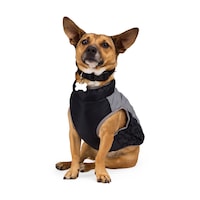 Manteau Skidoo réfléchissant pour chiens Petco, noir Front_Elevated
