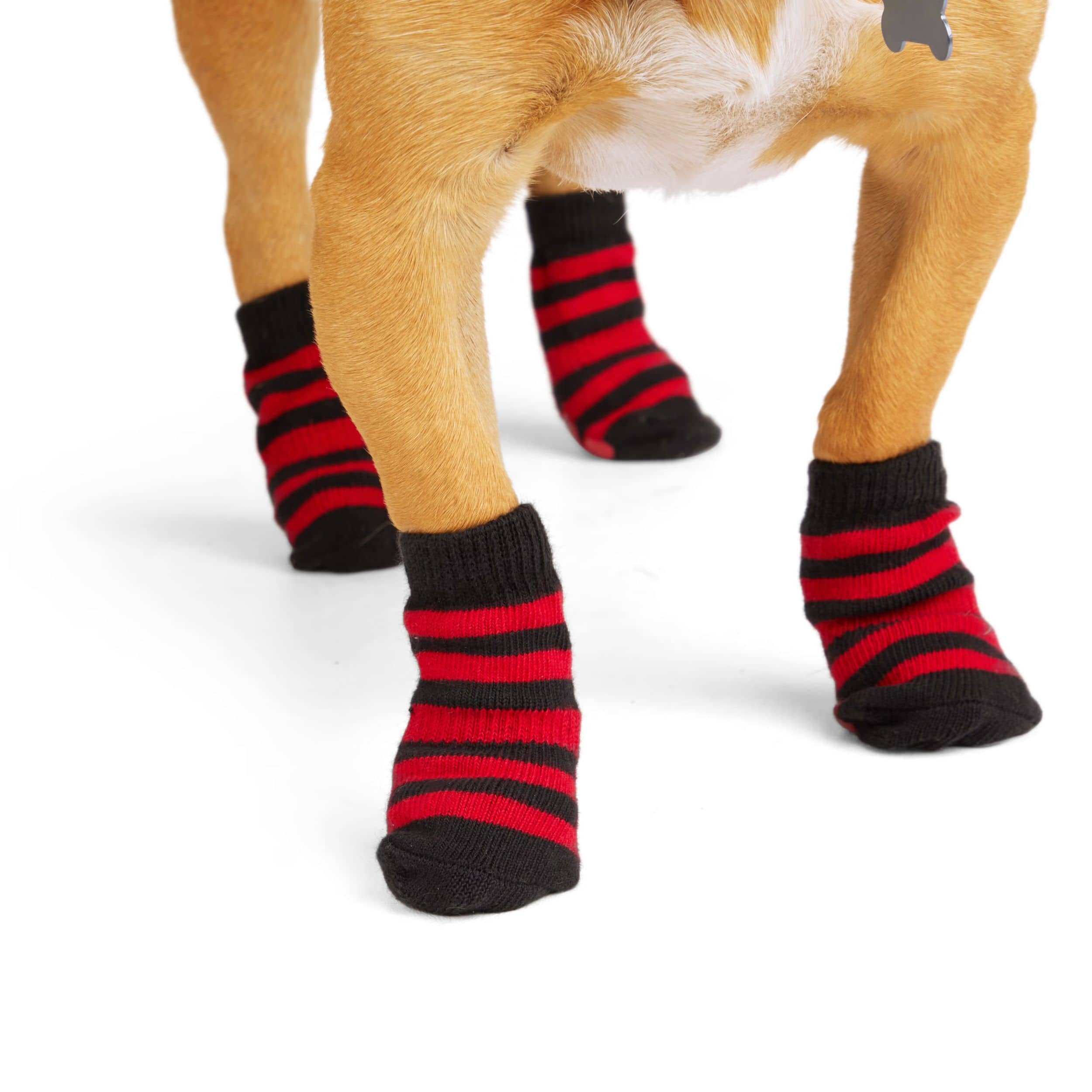 Non slip dog socks petco sale