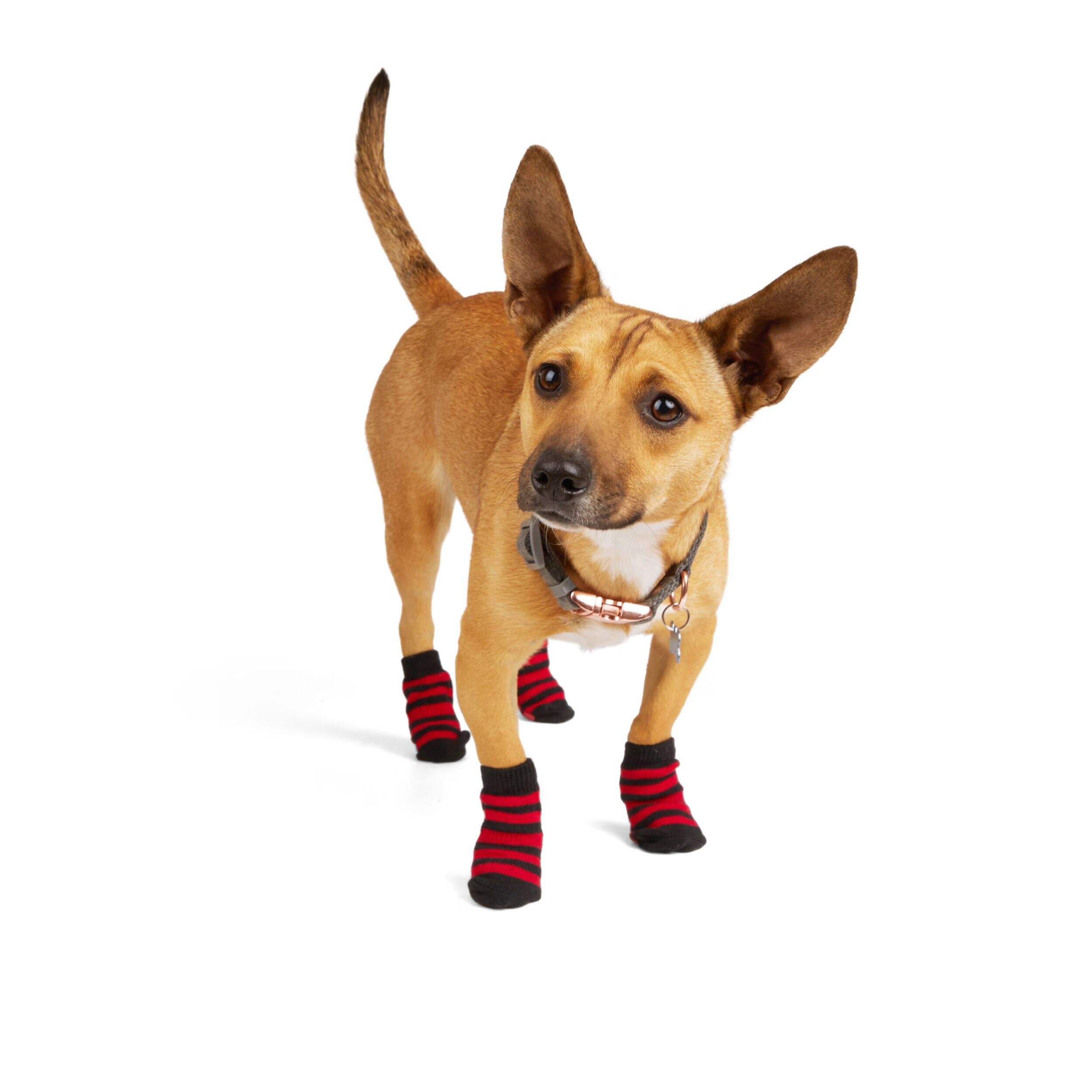 Petco NonSkid Socks for Dogs, Black and Red, 2pair Canadian Tire