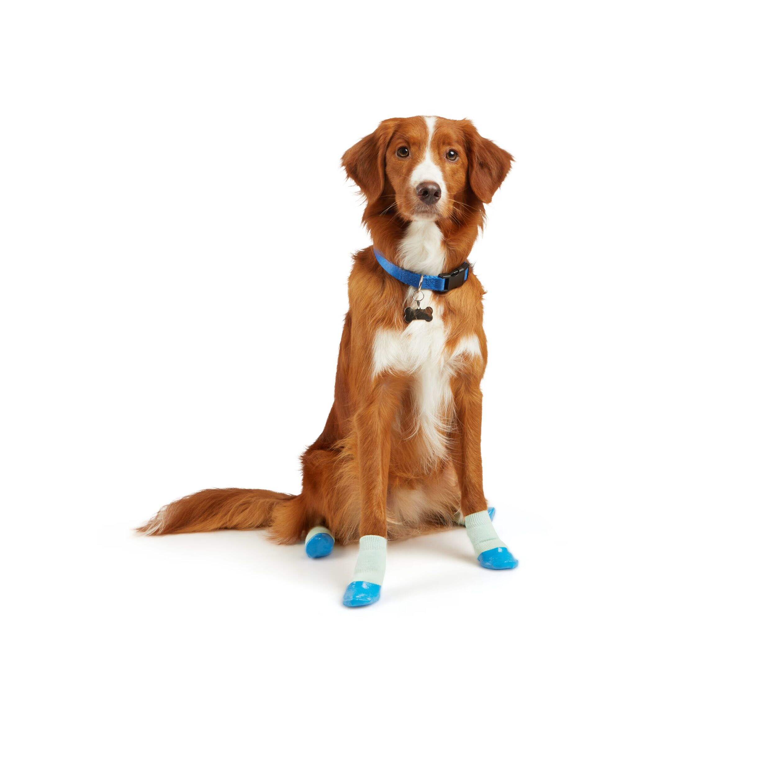 Petco NonSkid RubberDip Sock for Dogs, Blue Canadian Tire