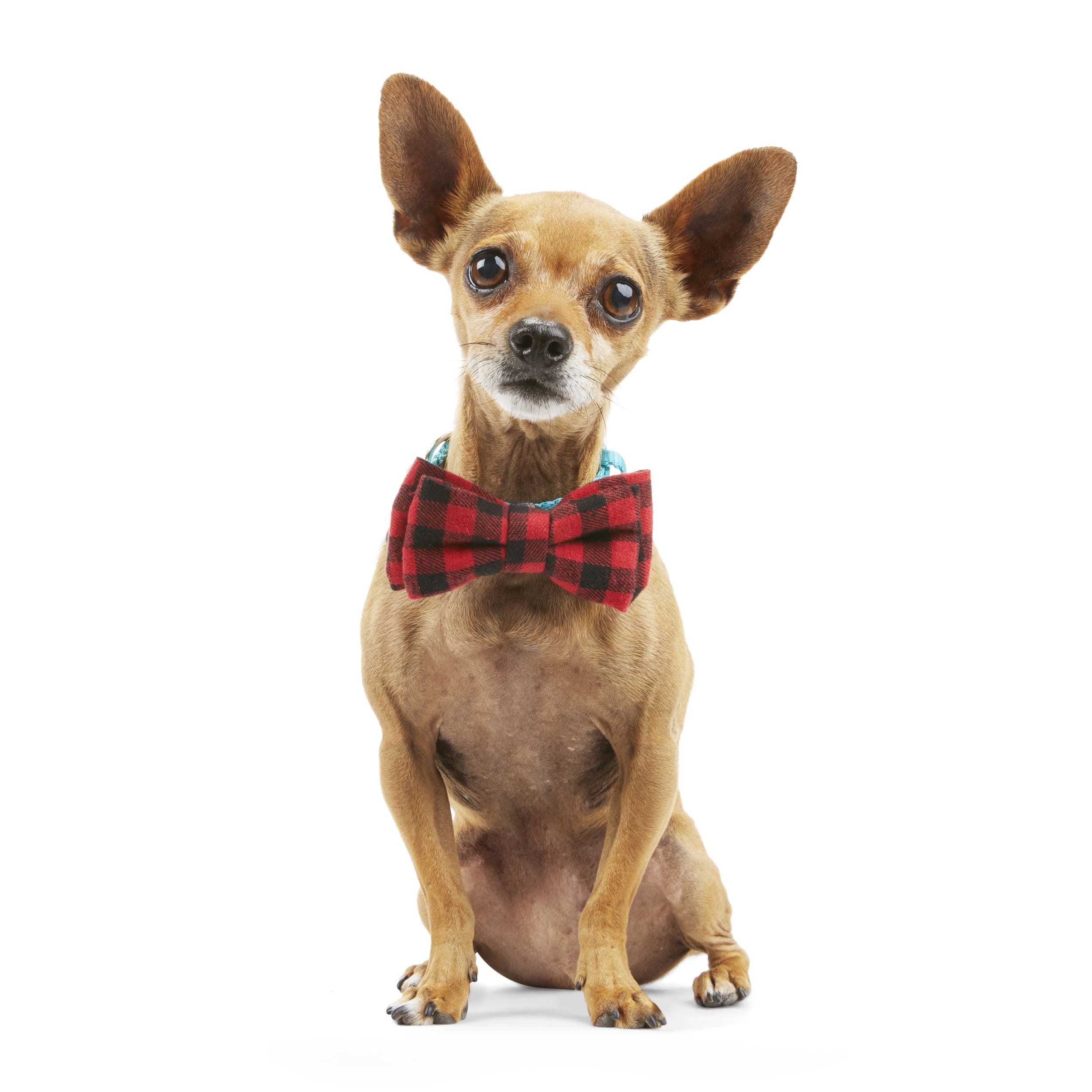 Buffalo plaid dog bow hot sale tie