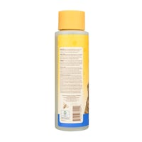 Shampoing pour chiens Burt's Bees, démangeaisons, 16 oz Back_Flat