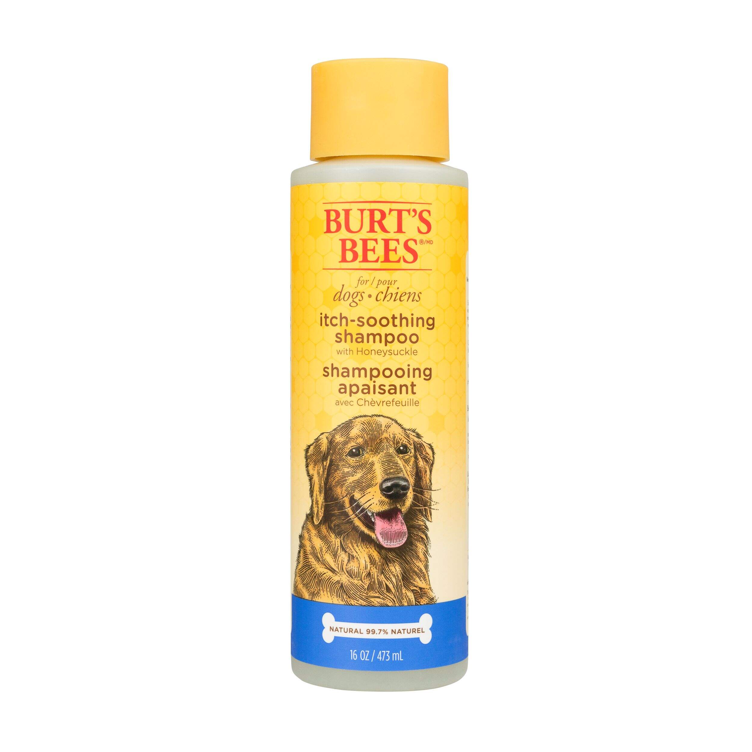 Burt's Bees Itch Soothing Shampoo for Dogs, 16-oz Front_Flat