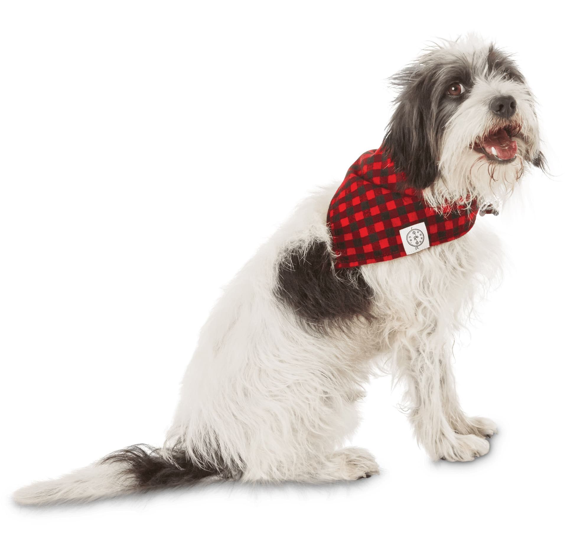 Petco Buffalo Check Plaid Dog Pet Bandana Adjustable and Washable Assorted Sizes Canadian Tire