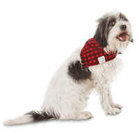 Petco Buffalo Check Plaid Dog/Pet Bandana, Adjustable and Washable, Assorted Sizes Front_Three_Fourths_Angled_Left