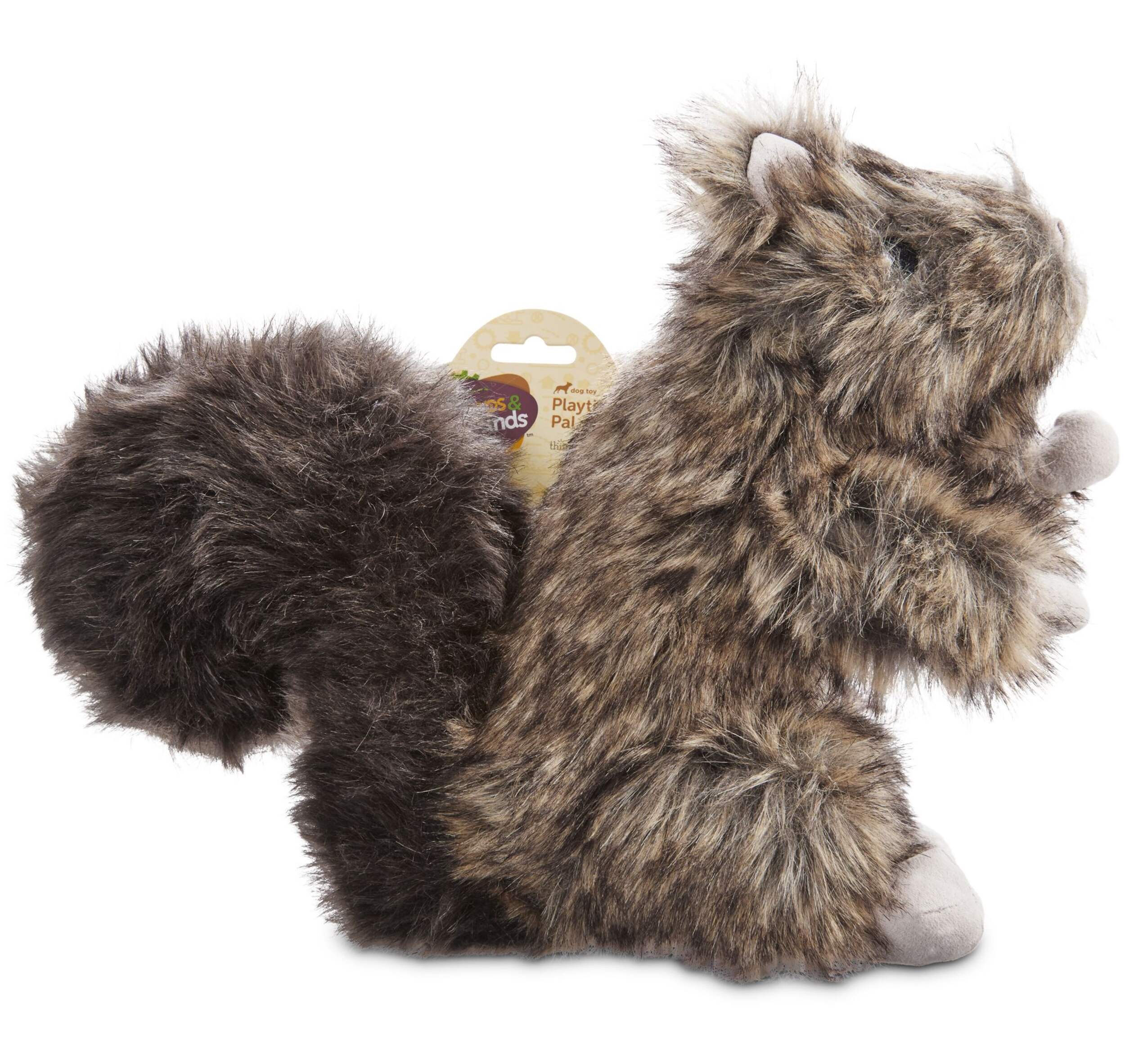 Petco Squeak Plush Squirrel Dog Toy, Medium Side_Right