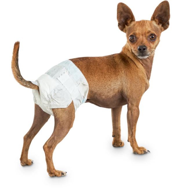 Flying Paws Disposable Female Dog Diapers, Puppy Diapers With