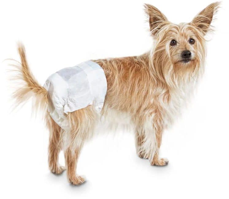 So phresh 2024 dog diapers