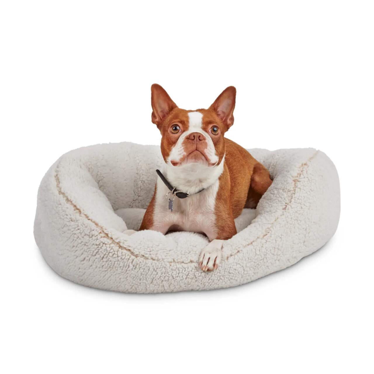 Cozy deals pet bed