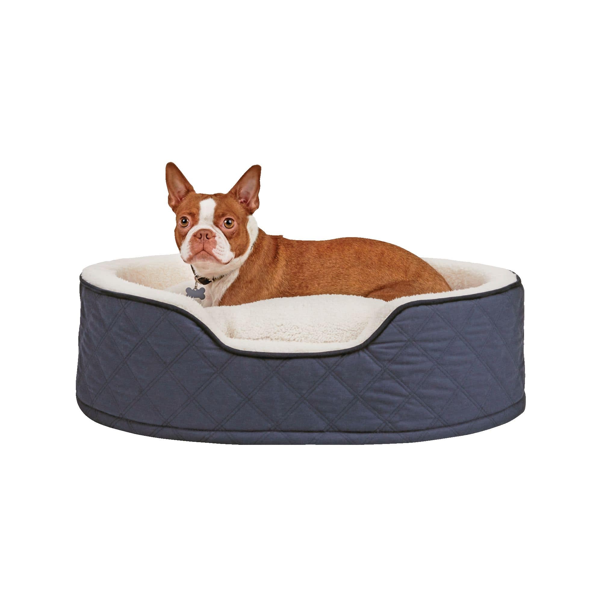 Big r best sale dog beds