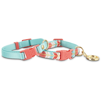 Petco Turquoise/Coral Adjustable Dog Collar, 2-pk Composite_or_Mixed