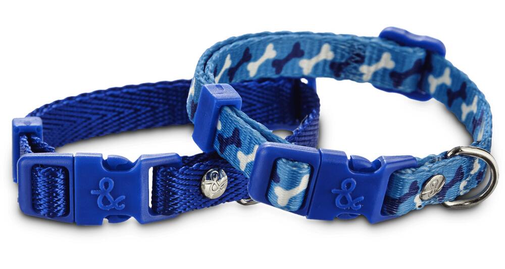 Lupine hot sale collars petco