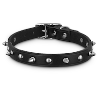 Petco Leather with Spike Rivets Dog Collar, Adjustable, Assorted Sizes, Black Front_Elevated