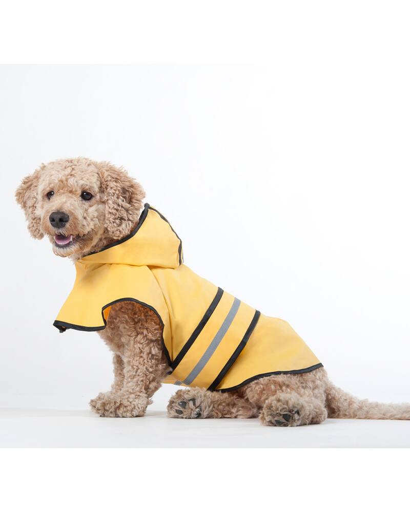 dog boots canadian tire