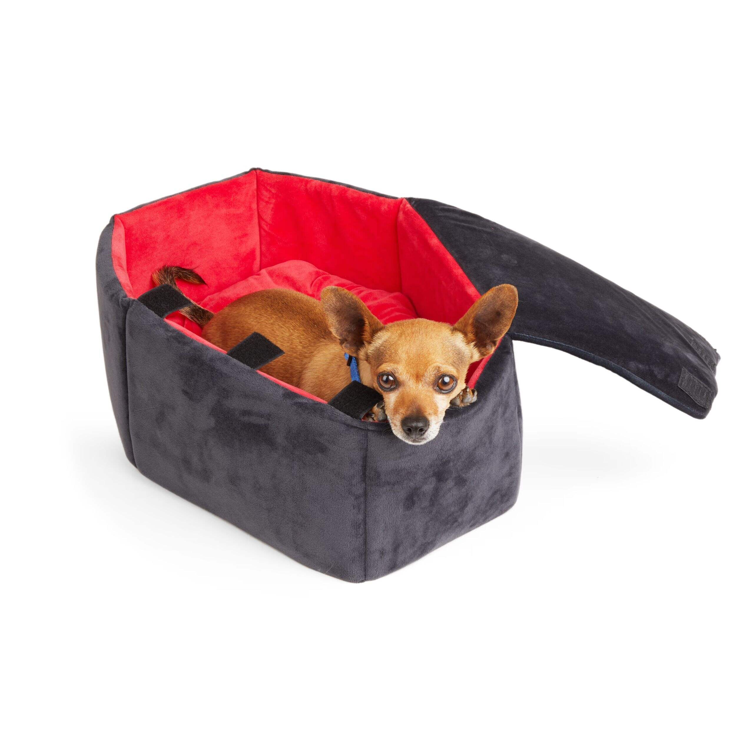 Petco Halloween Coffin Dog Bed Canadian Tire