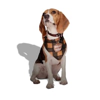 Petco Halloween Werewolf Bandana